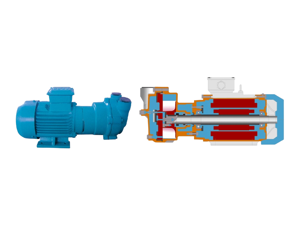 ZJ-2BV系列水环式真空泵